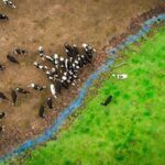 Cow leaving for greener pastures